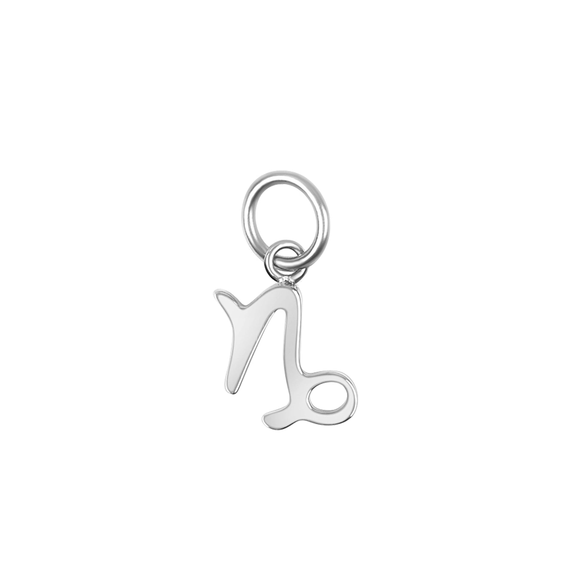 silver zodiac charm in the capricorn variant on a white background
