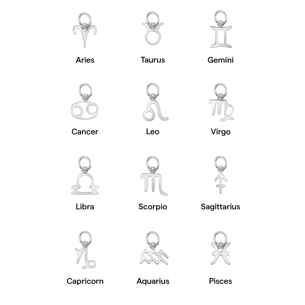 Silver zodiac charm chart featuring all 12 astrological signs: Aries, Taurus, Gemini, Cancer, Leo, Virgo, Libra, Scorpio, Sagittarius, Capricorn, Aquarius, and Pisces.