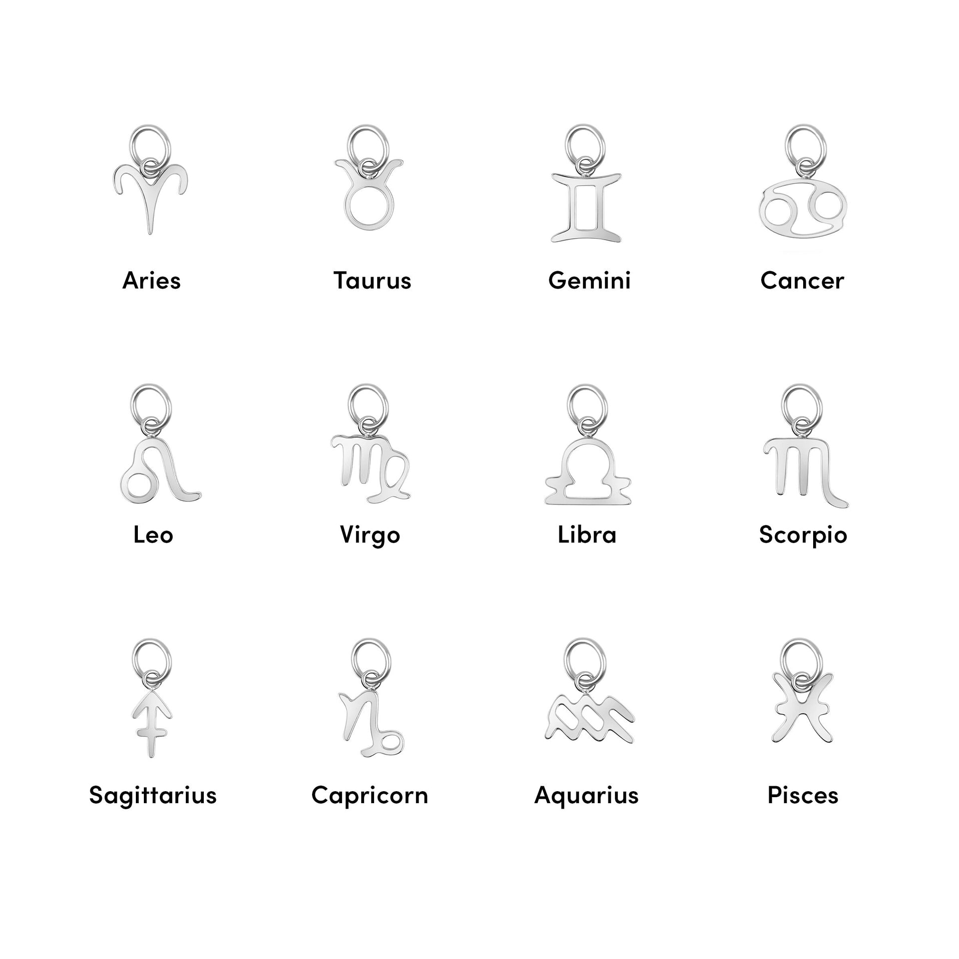 Silver zodiac charm chart featuring all 12 astrological signs: Aries, Taurus, Gemini, Cancer, Leo, Virgo, Libra, Scorpio, Sagittarius, Capricorn, Aquarius, and Pisces.