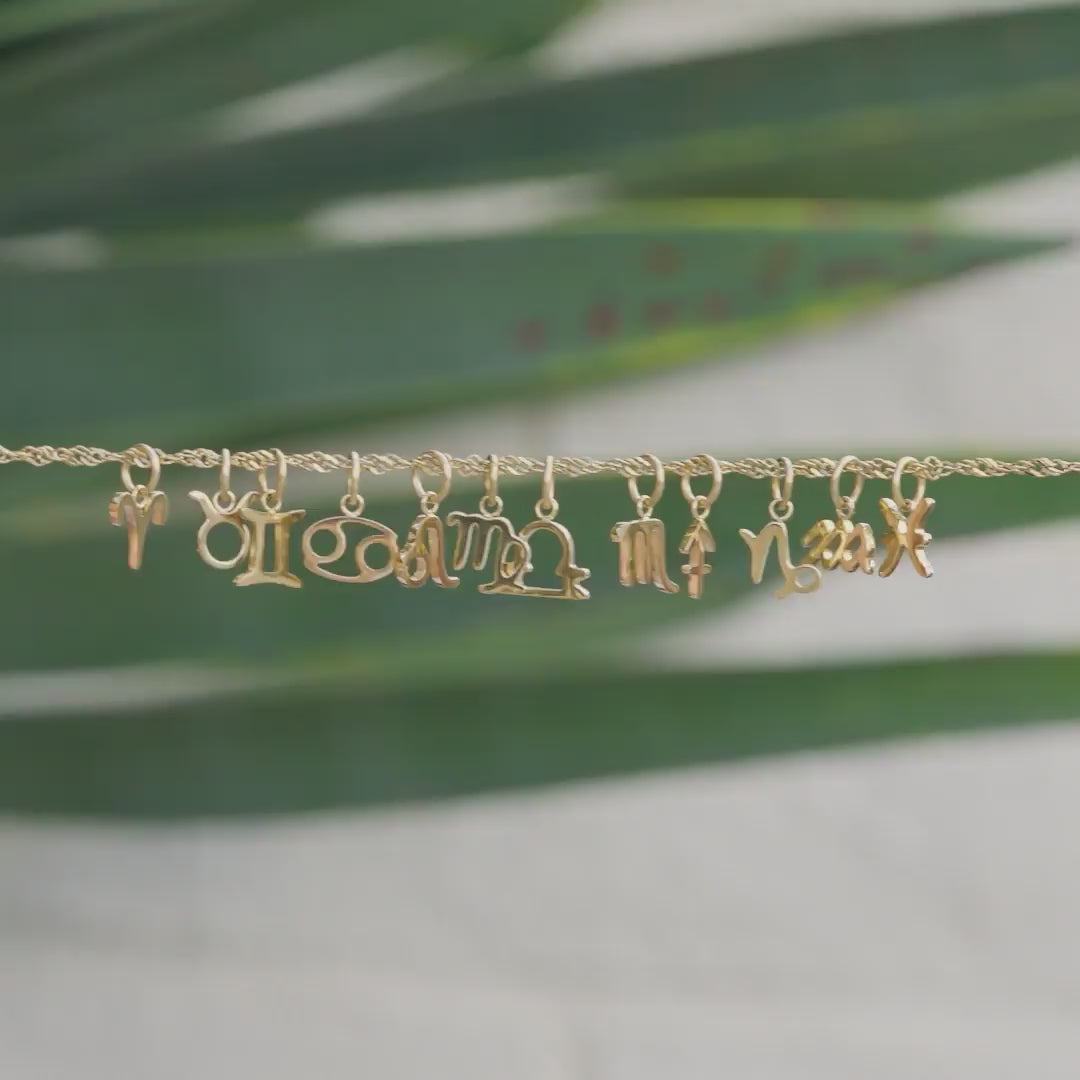 a video of all 12 zodiac charms shown in 14k gold PVD plated stainless steel in both flatlay form as well as worn by a model