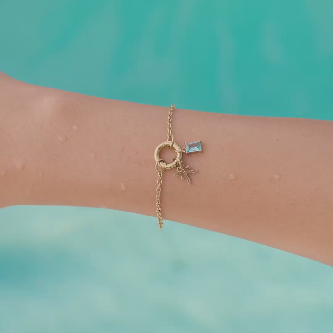 a video of all 12 zodiac charms shown in 14k gold PVD plated stainless steel in both flatlay form as well as worn by a model